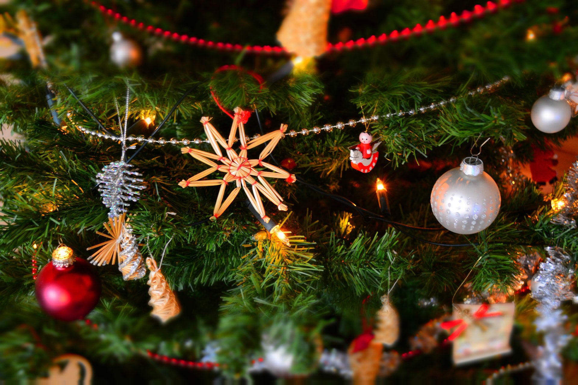 Close up of adorned Christmas Tree